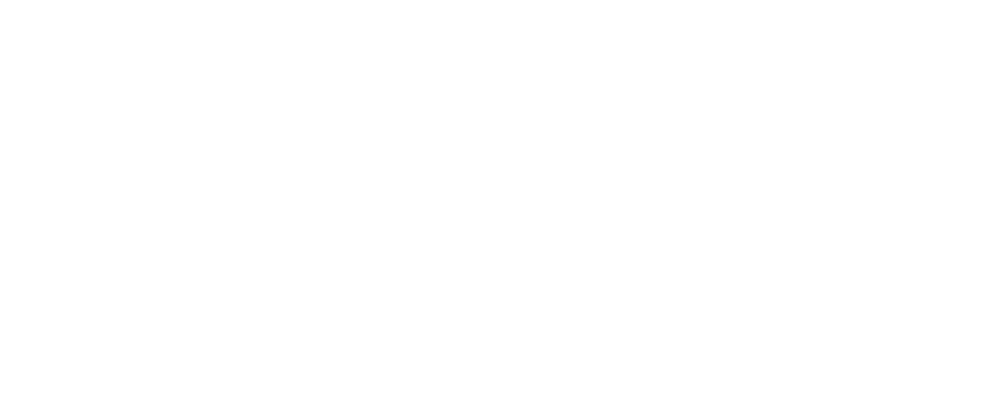 AAACESA Almacenes Fiscalizados
